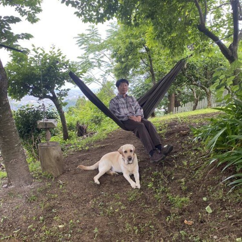 BROWN by 2-tacs, Stand collar | Purveyors