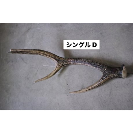 DEER HORN SMITH'S × AFRO CAMP, カーミットバー