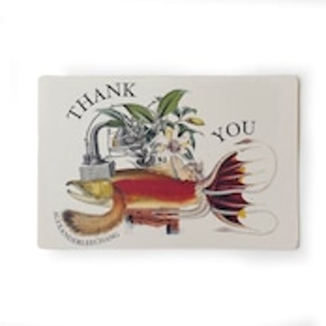 AlexanderLeeChang, D&C 5 SET POSTCARDS