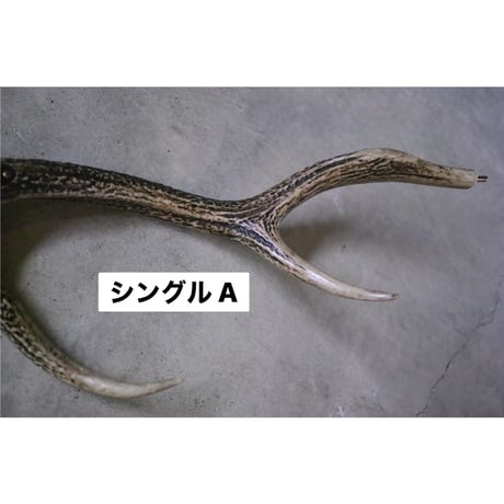 DEER HORN SMITH'S × AFRO CAMP, カーミットバー