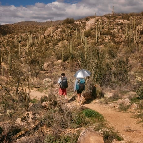 GOSSAMER GEAR, Lightrek Hiking Umbrella