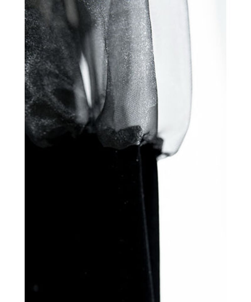 alice auaa シースルー ロングジレ ブラック 専用 alice auaa シースルー ロングジレ ブラック 専用 alice auaa