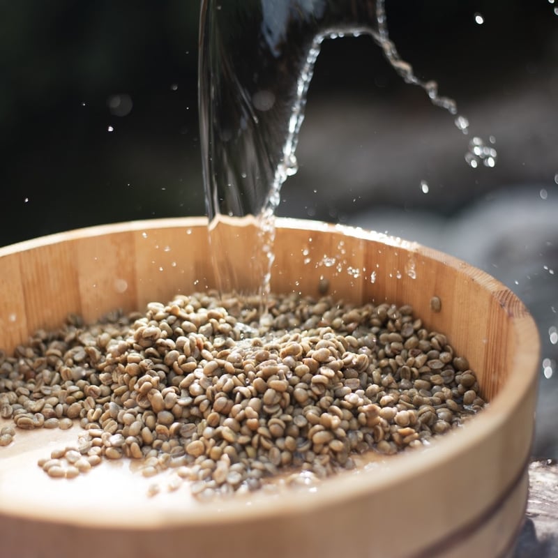 さつまいも農家が焙煎する珈琲『龍神奥辺路ブレンド・ドラゴン