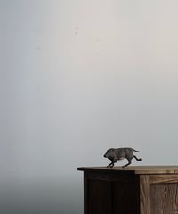 猪のオブジェ