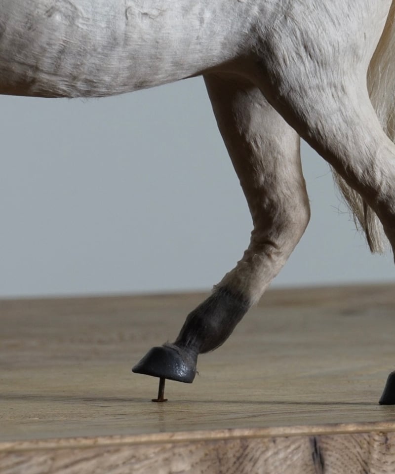 馬のオブジェ | 鯨オーケストラ