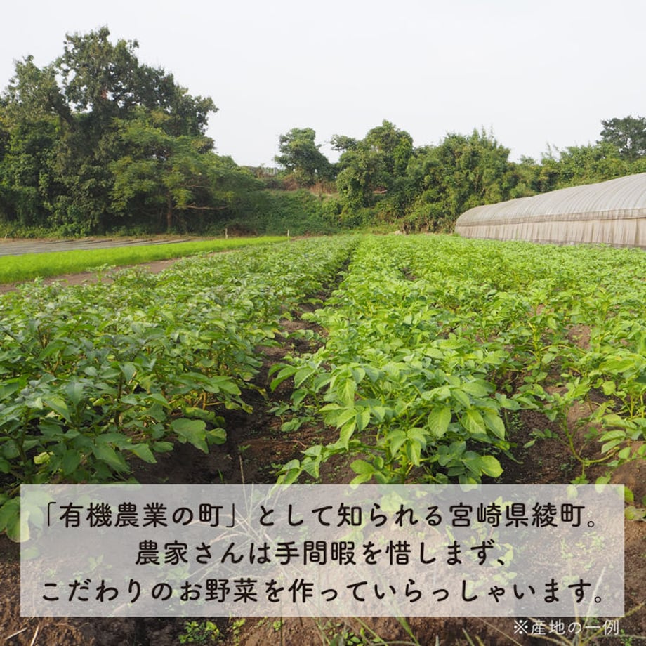5ace69cd122a7d02590004b8