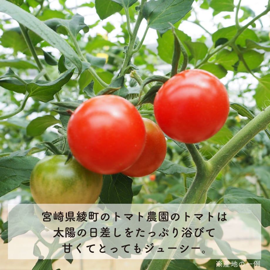 5ace6936122a7d02590004a2