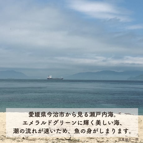 【セット割10%OFF】12ヶ月頃〜　おそとごはんセット（60食）