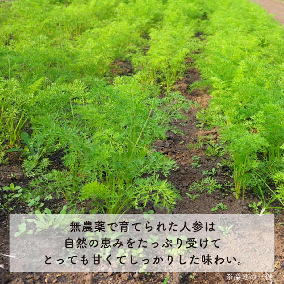 5ace69cd122a7d02590004b8