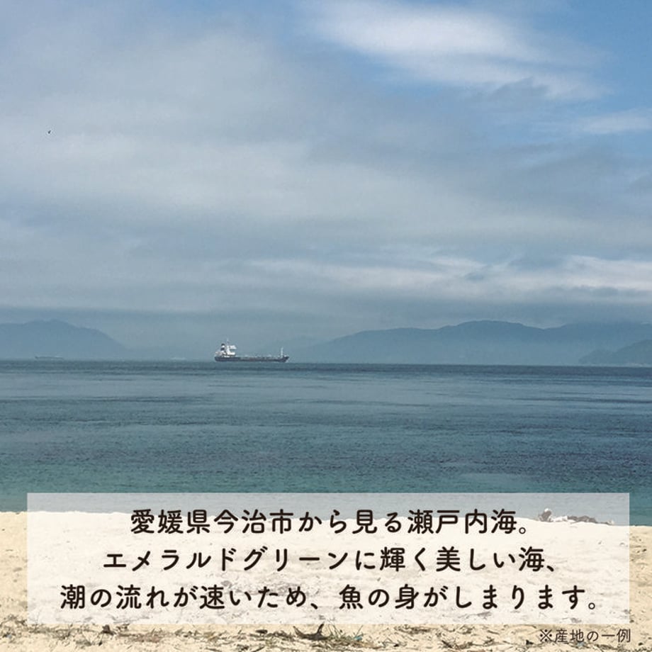 5ace6936122a7d02590004a2