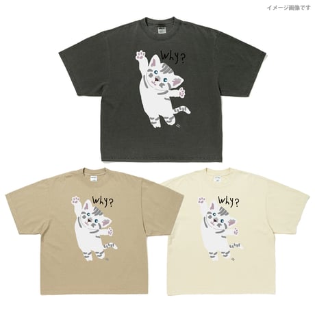 THE MIRRAZ Tシャツ XXL サイズ 古着 グッズ ミイラズ ミイラズCOUNTDOWN JAPAN 17/18グッズ発表☆12/31会場にて発売