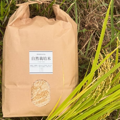 自然栽培米　玄米カイロ　5個セット 自然栽培米 玄米カイロ 5個セット