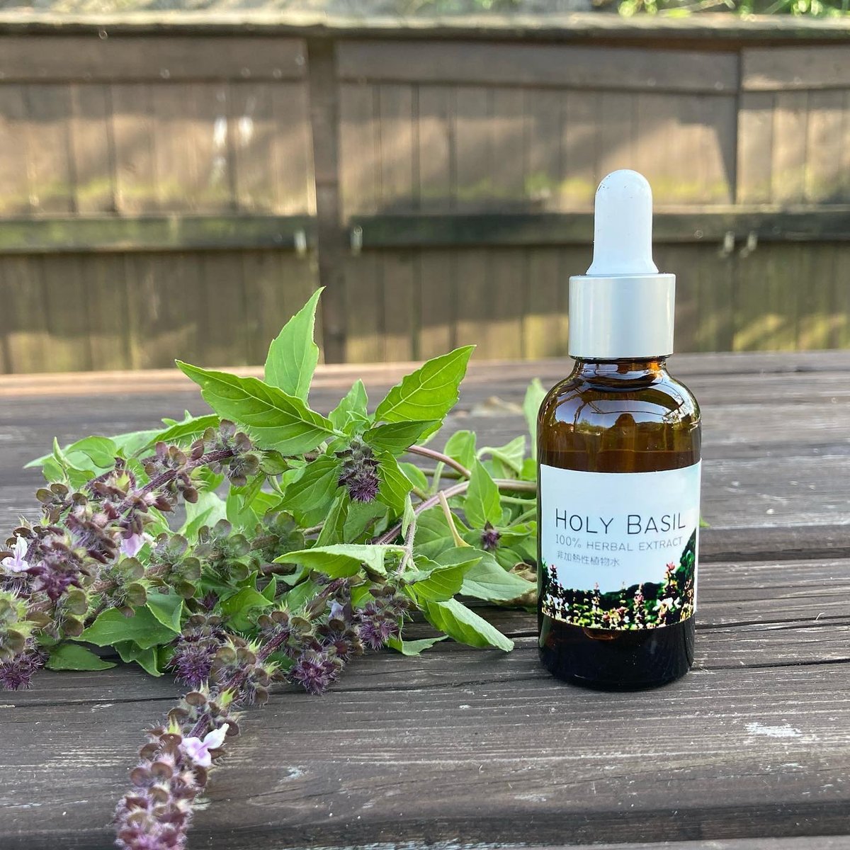 ホーリーバジル100%植物水 30ml | MEDI FARM