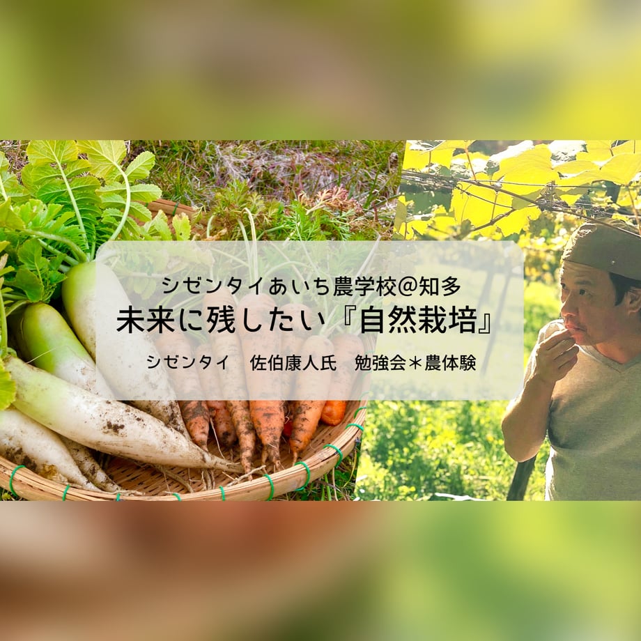 6527d43766372a003457dacf