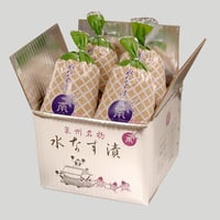 【１４】水なすの浅漬(ぬか漬) 4個包装入　<※お届け日指定不可>　出荷までに多少お時間を頂く場合がございますのでご了承ください。