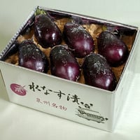 【３９】水なすの浅漬(ぬか漬)(6個入)<※お届け日指定不可> 出荷までに1ケ月前後お時間がかかりますのでご了承ください。
