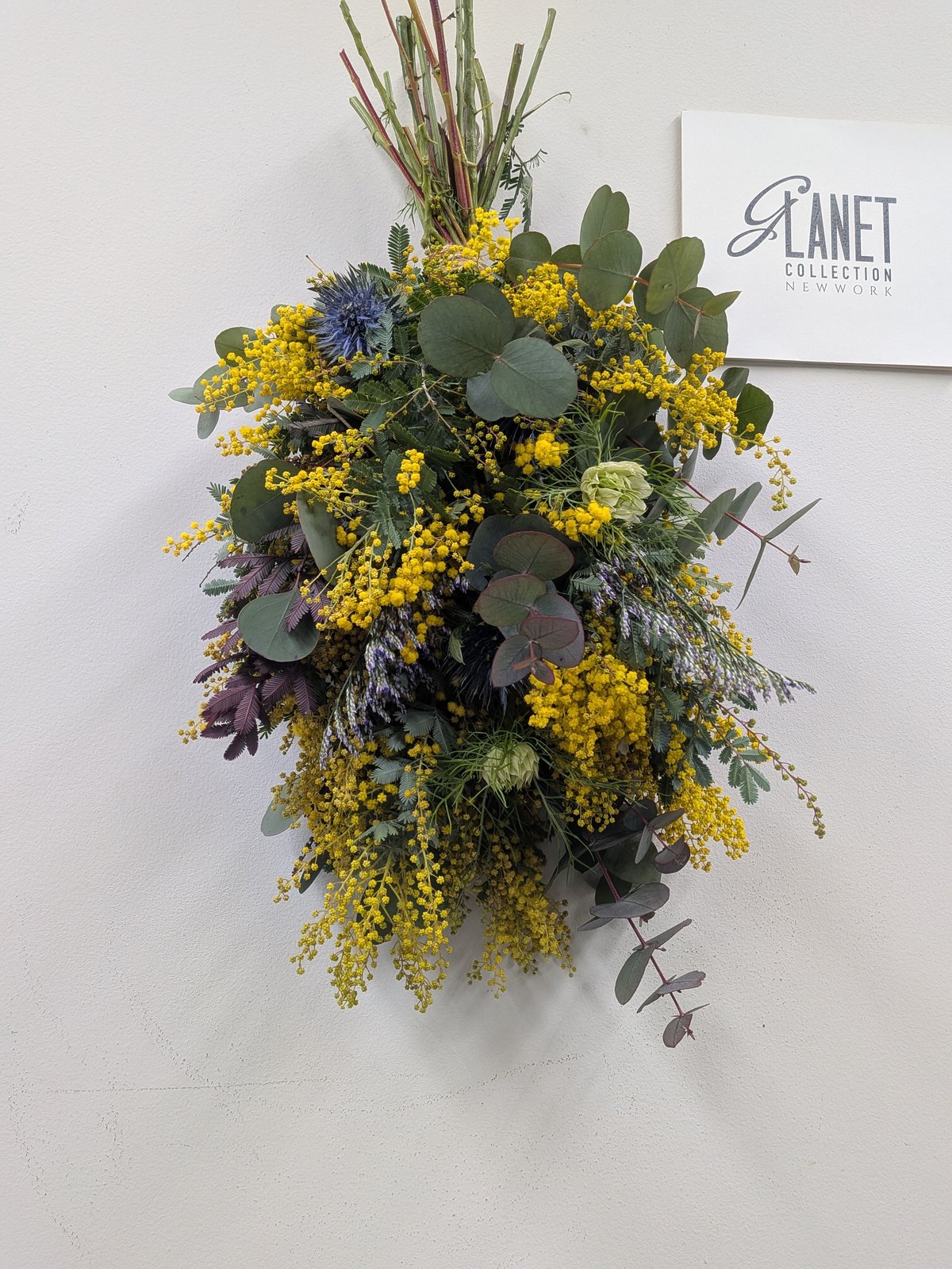 1点限り】ミモザ スワッグ B【フレッシュ 】 | Glanet collection