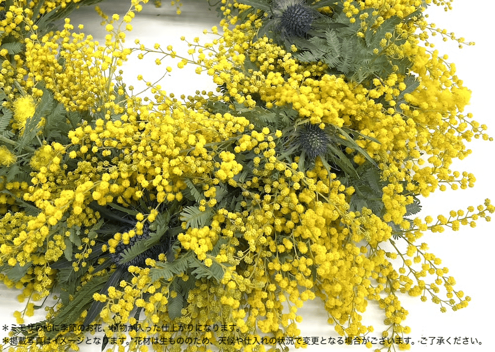 Workshop：ミモザと季節の花のリース＆スワッグ【 2026年1月31日（土
