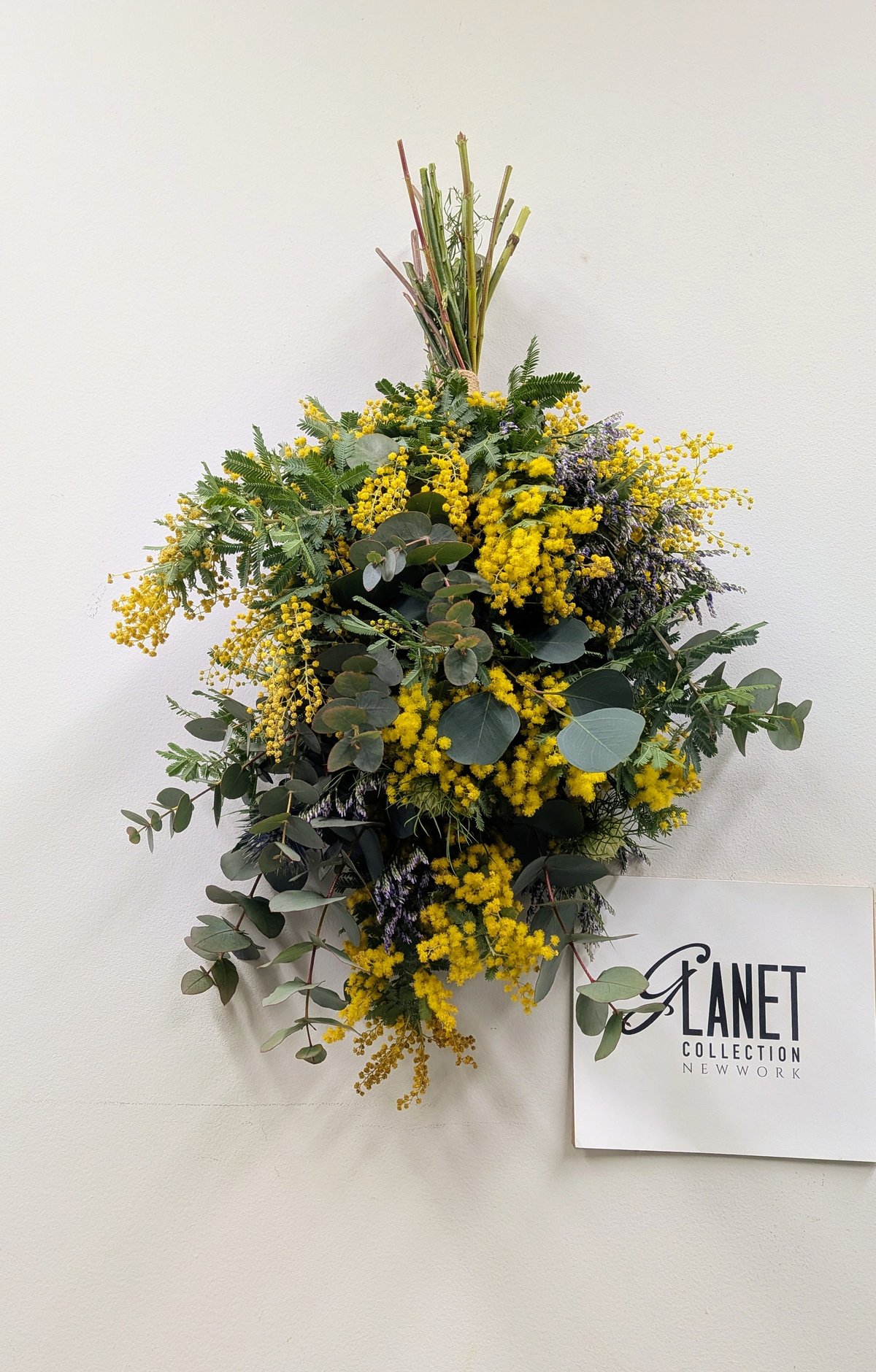 1点限り】ミモザ スワッグ A【フレッシュ 】 | Glanet collection