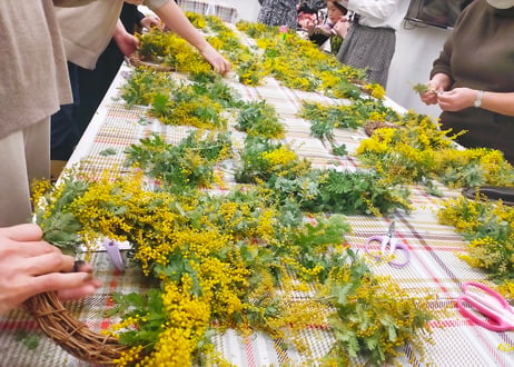 Workshop：ミモザと季節の花のリース＆スワッグ【 2026年1月31日（土）】