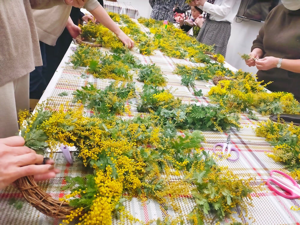 Workshop：ミモザと季節の花のリース＆スワッグ【 2026年1月31日（土