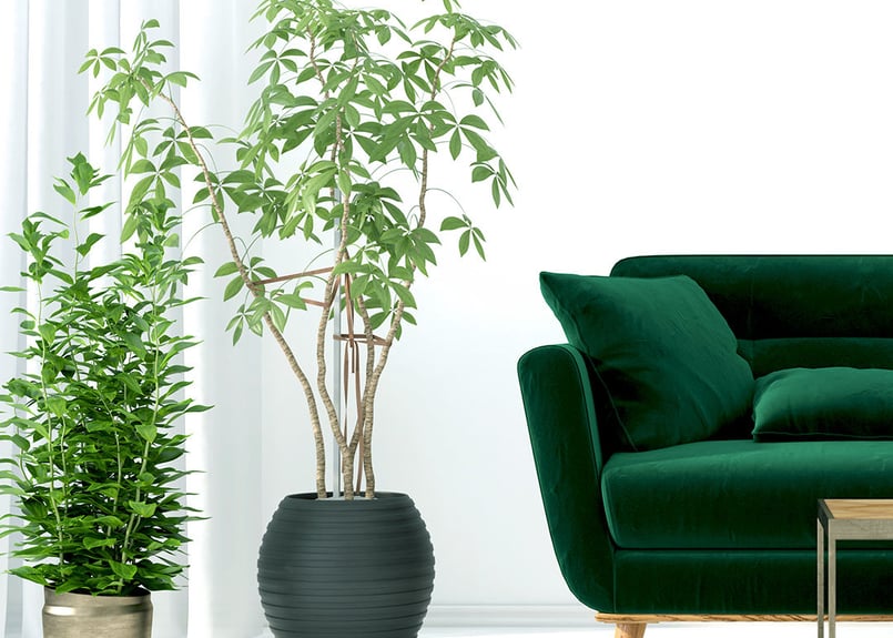 アート234　「タイム2(グリーンブルー)」　インテリアコーディネート ENJOY YOUR ROOM｜【公式】WTW通販｜サーフスタイルの家具