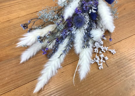 ドライスワッグ Purple (S)