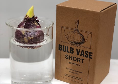 Bulb Vase