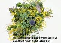 【1点限り】ミモザ スワッグ C 【フレッシュ 】