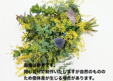 【1点限り】ミモザ スワッグ C 【フレッシュ 】
