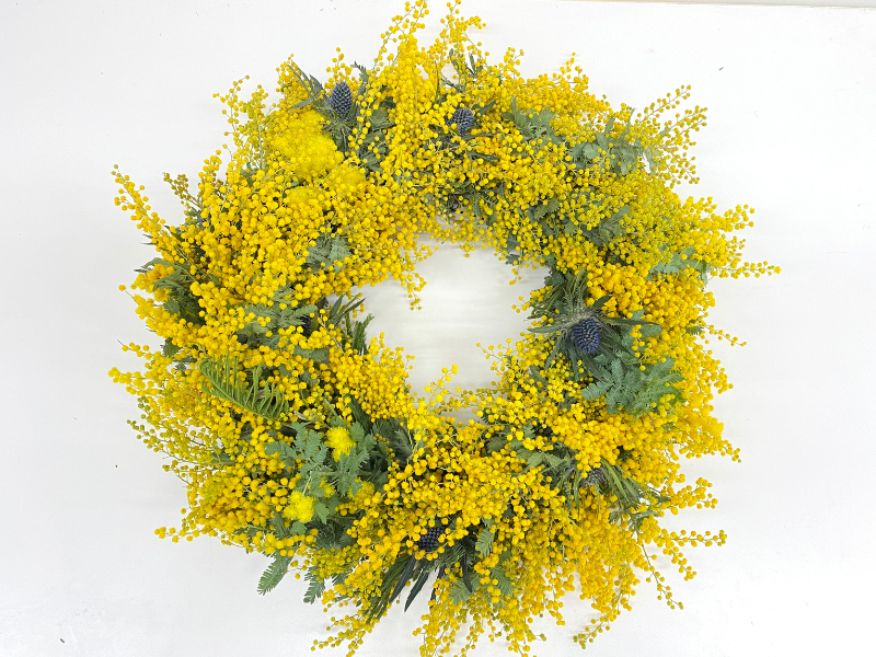 ミモザのフライングリース　春待ちリース【25210】 ミモザのフライングリース 春待ちリース【25210】 ミモザの