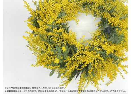 Workshop：ミモザと季節の花のリース＆スワッグ【 2026年1月31日（土）】