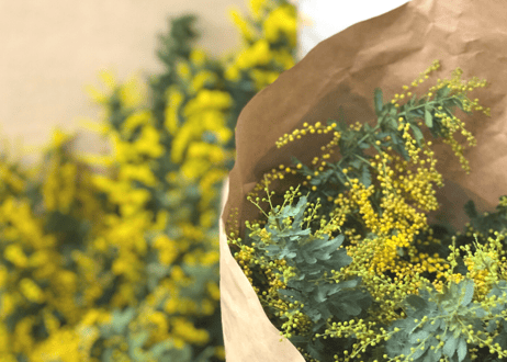 【受注生産】ミモザのスワッグ