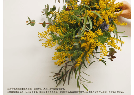 Workshop：ミモザと季節の花のリース＆スワッグ【 2026年1月31日（土）】