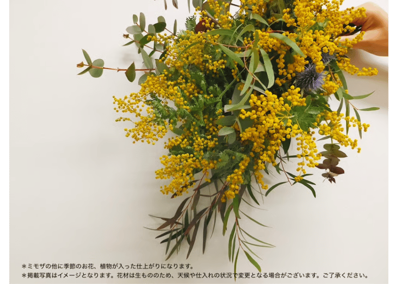 Workshop：ミモザと季節の花のリース＆スワッグ【 2026年1月31日（土
