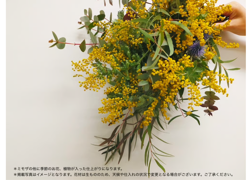 Workshop：ミモザと季節の花のリース＆スワッグ【 2026年1月31日（土
