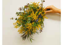 【限定】ミモザのスワッグ  A（全長約40cm）