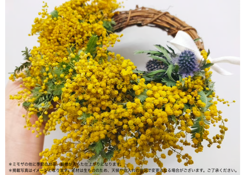 Workshop：ミモザと季節の花のリース＆スワッグ【 2026年1月31日（土