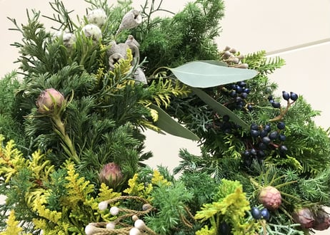 Workshop：コニファーのクリスマスリース【 2023年11月19日（日）】