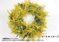 【西麻布】Workshop：ミモザのリース【 2023年2月4日（土）】