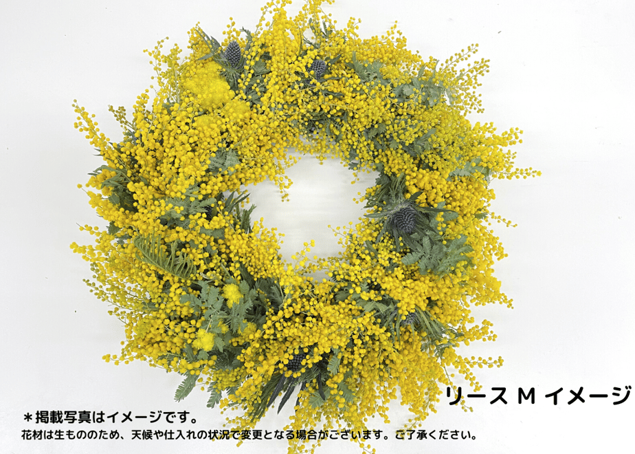 63c11c3d6e84d55f5ae5edb0
