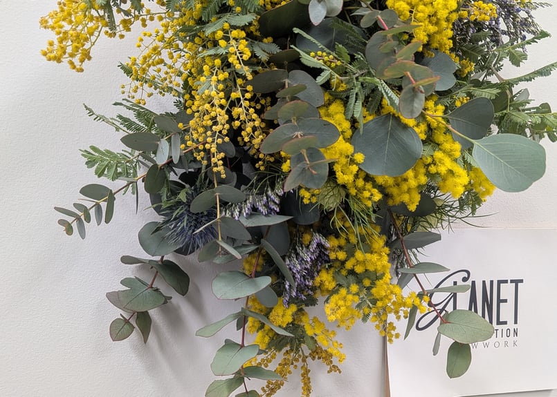 1点限り】ミモザ スワッグ A【フレッシュ 】 | Glanet collection