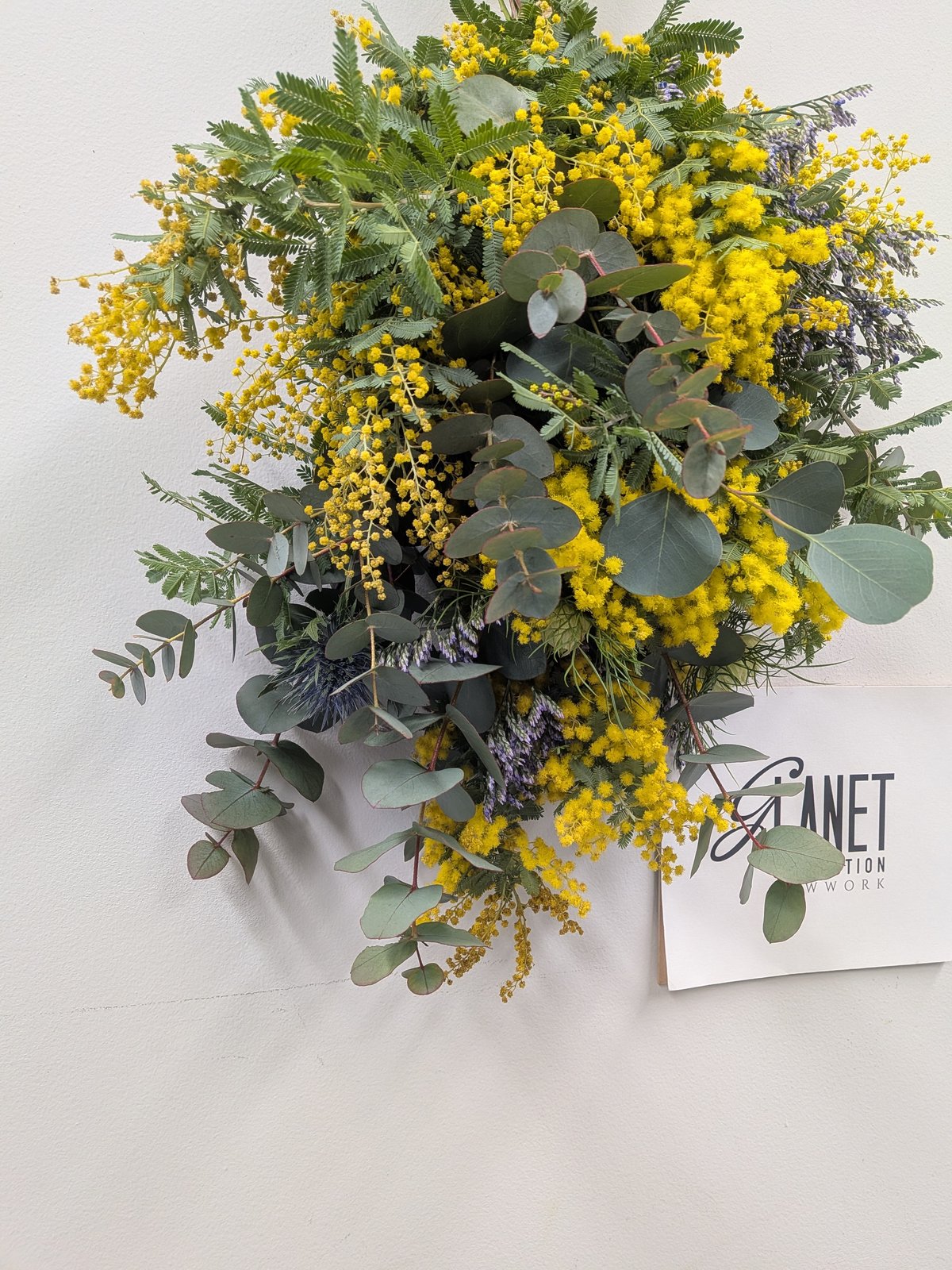 1点限り】ミモザ スワッグ A【フレッシュ 】 | Glanet collection