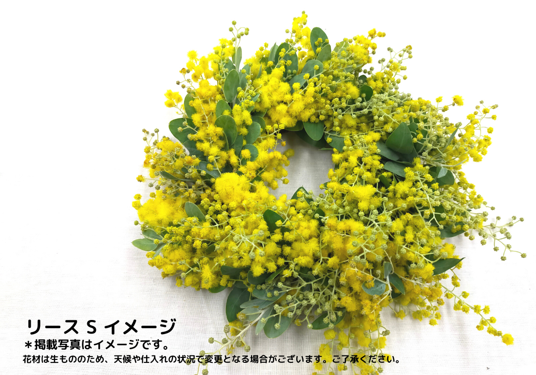 西麻布】Workshop：ミモザのリース【 2023年2月4日（土）】 | Glanet c