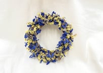 ミニミニリース   Blue×Yellow