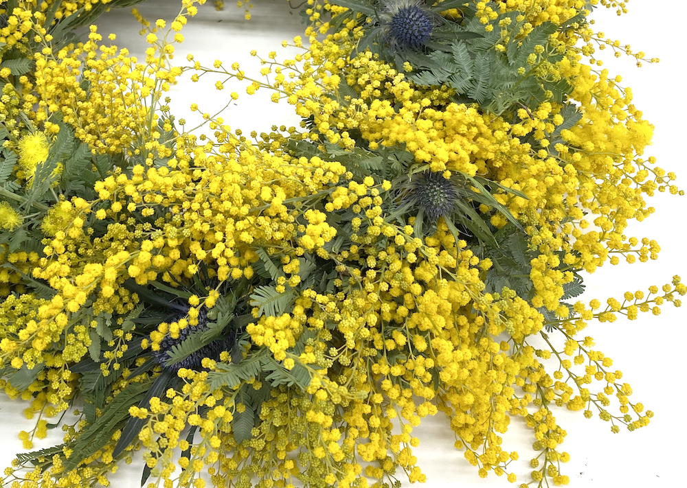 受注制作ミモザリース ミモザとフランネルフラワーのリース(25cm) | エンジェル