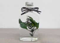 ハーバリウム GreenChic