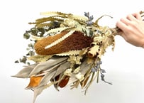 ドライスワッグ Banksia