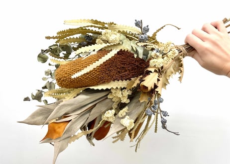 ドライスワッグ Banksia