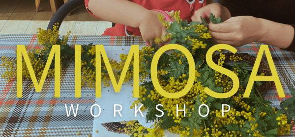 🌼ミモザはじめました🌼【MIMOSA WORKSHOP】 | Glanet collection
